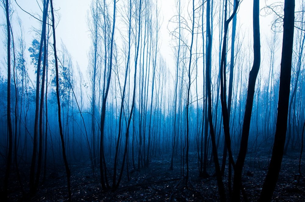 exposição primeira luz de Alípio Padilha na apaixonarte