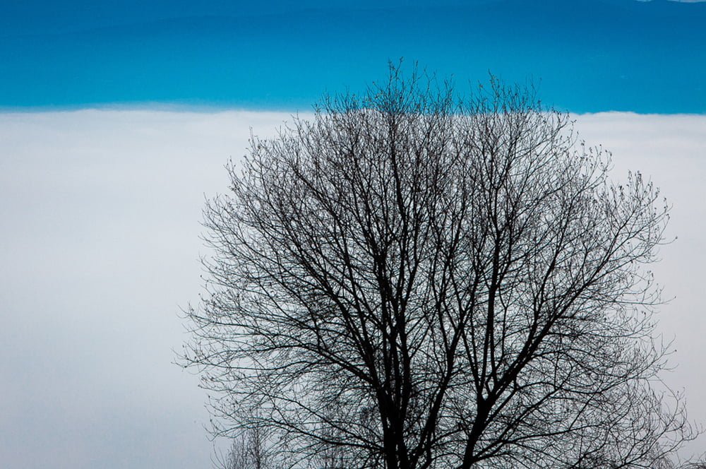 exposição primeira luz de Alípio Padilha na apaixonarte