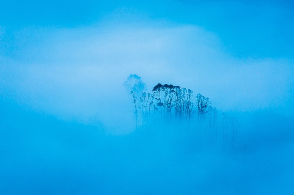 exposição primeira luz de Alípio Padilha na apaixonarte