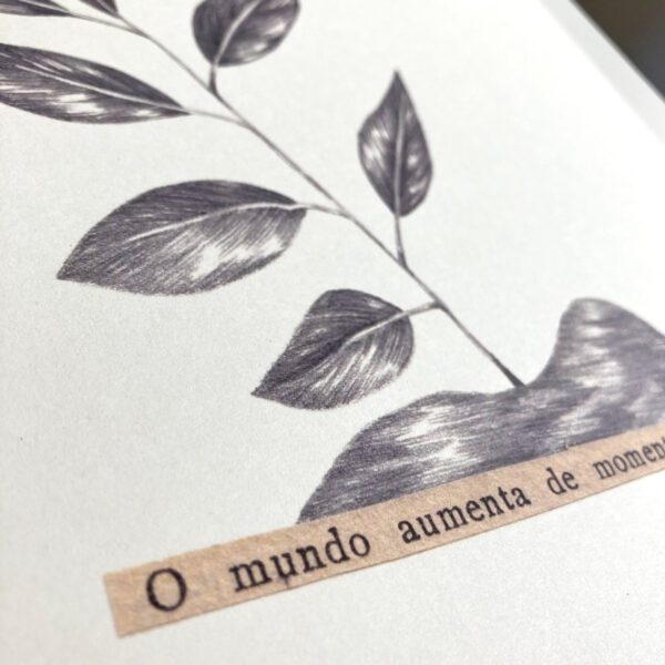 O Mundo Aumenta - Cláudia Salgueiro - Image 2