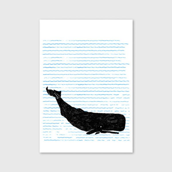 Whale - Bárbara R.