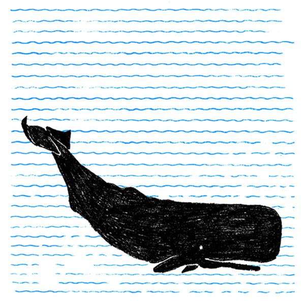 Whale - Bárbara R. - Image 2