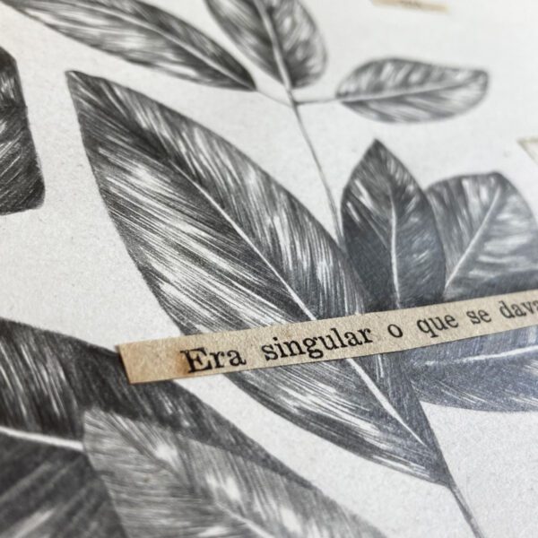 Era Singular - Cláudia Salgueiro - Image 3