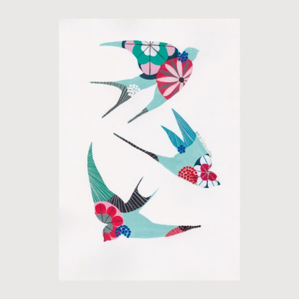 Swallows - Lis