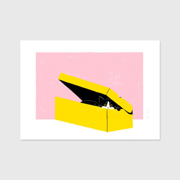 Love for Cardboard Boxes  - Sara Felgueiras