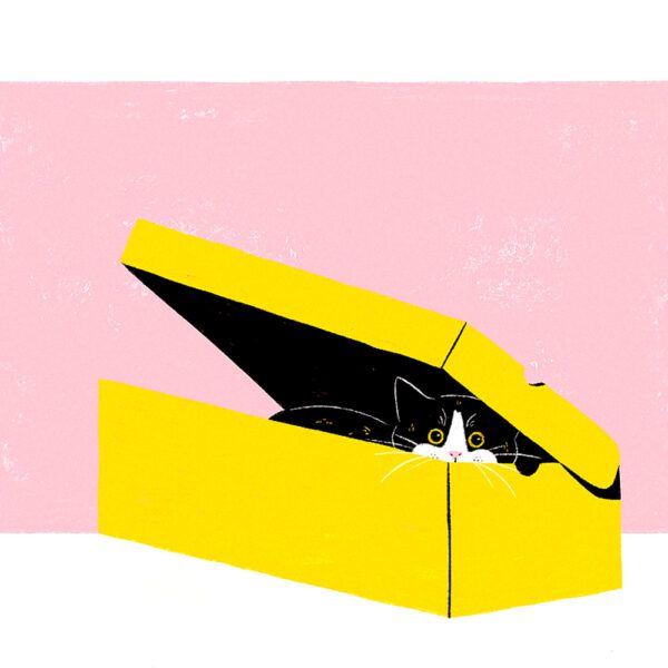 Love for Cardboard Boxes  - Sara Felgueiras - Image 2