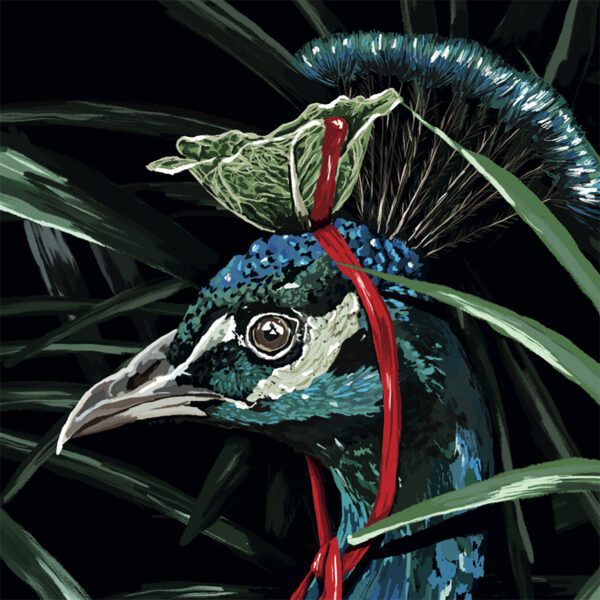 Peacock  - Marita - Image 2