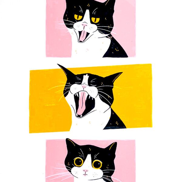 Phases of the Yawn - Sara Felgueiras - Image 2