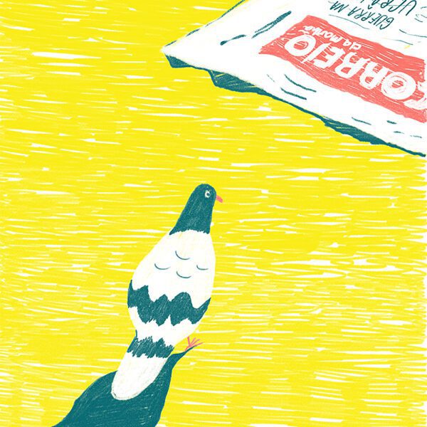 Pigeon Post - Ed Dingli - Image 2