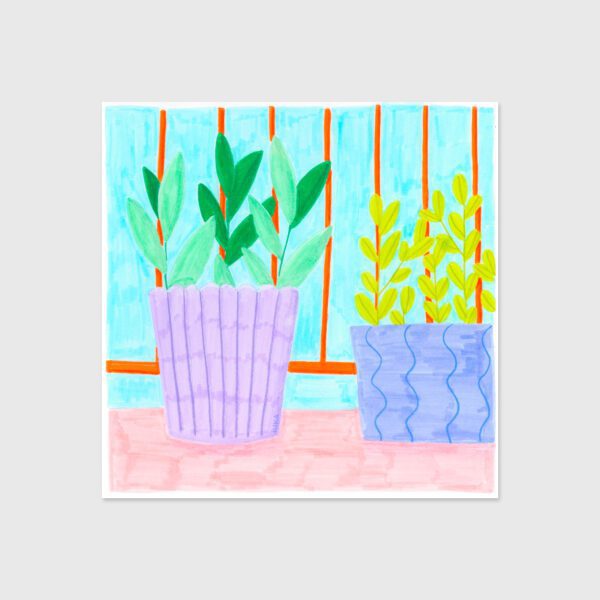 Plants - Kika