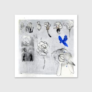 Semente - Eva Evita