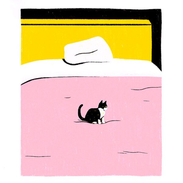Tiny Cat in Bed - Sara Felgueiras - Image 2