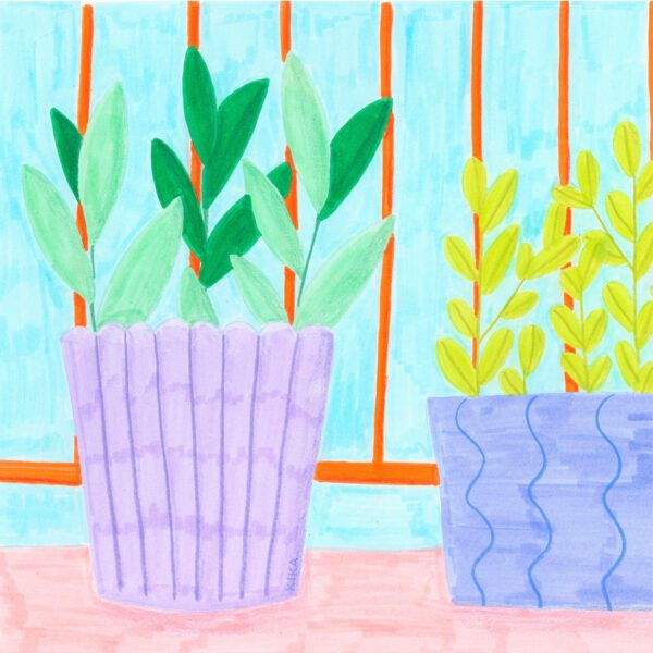 #01 Plants - Kika - Image 2
