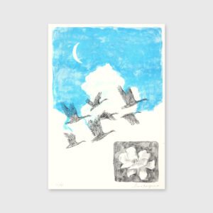 Migrar - Bina Tangerina