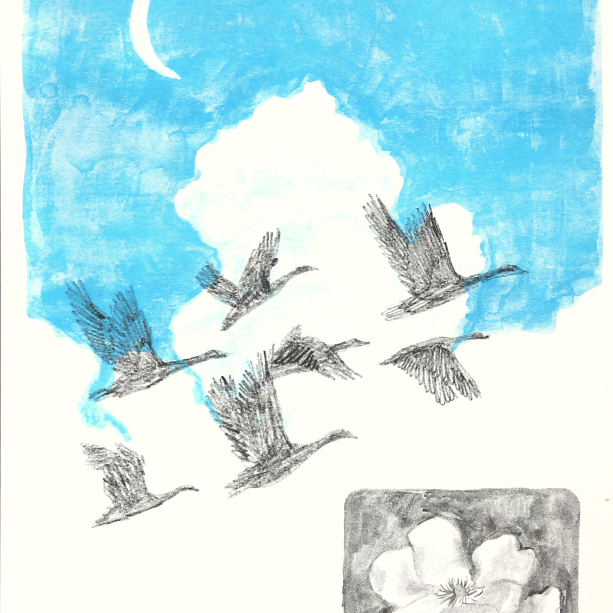 Migrar - Bina Tangerina - Image 2