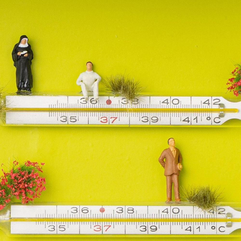 Era Uma Vez... 393 - António Azevedo - Image 5