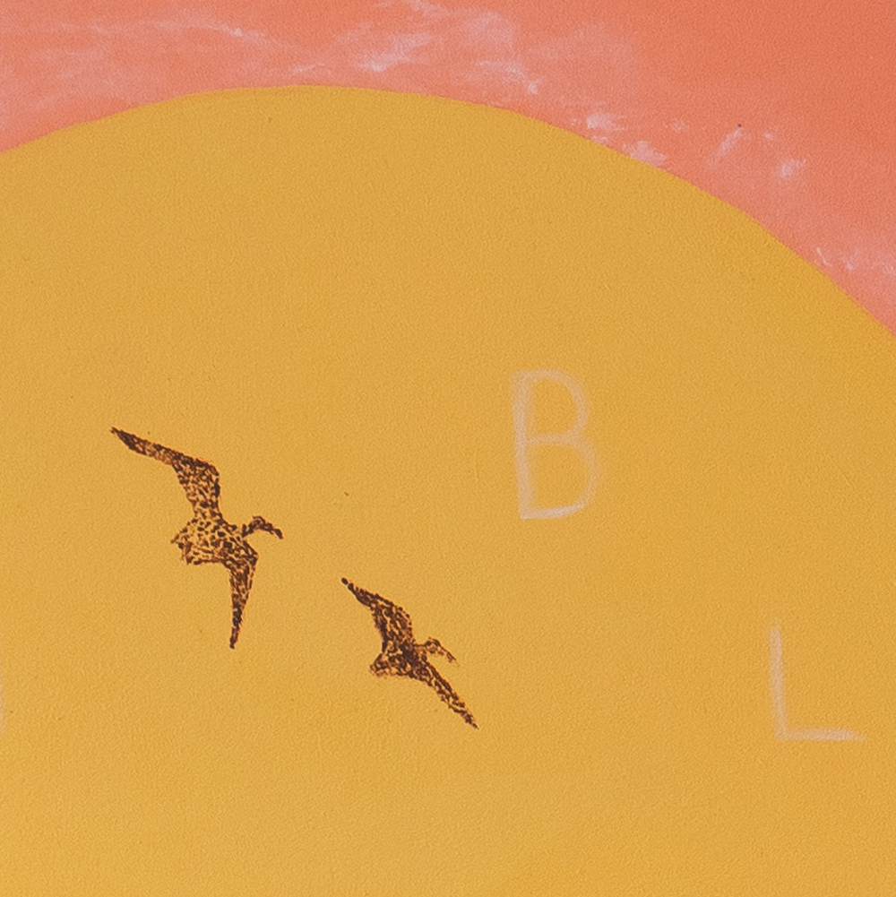 Double Dome - Vasco Maio - Image 6