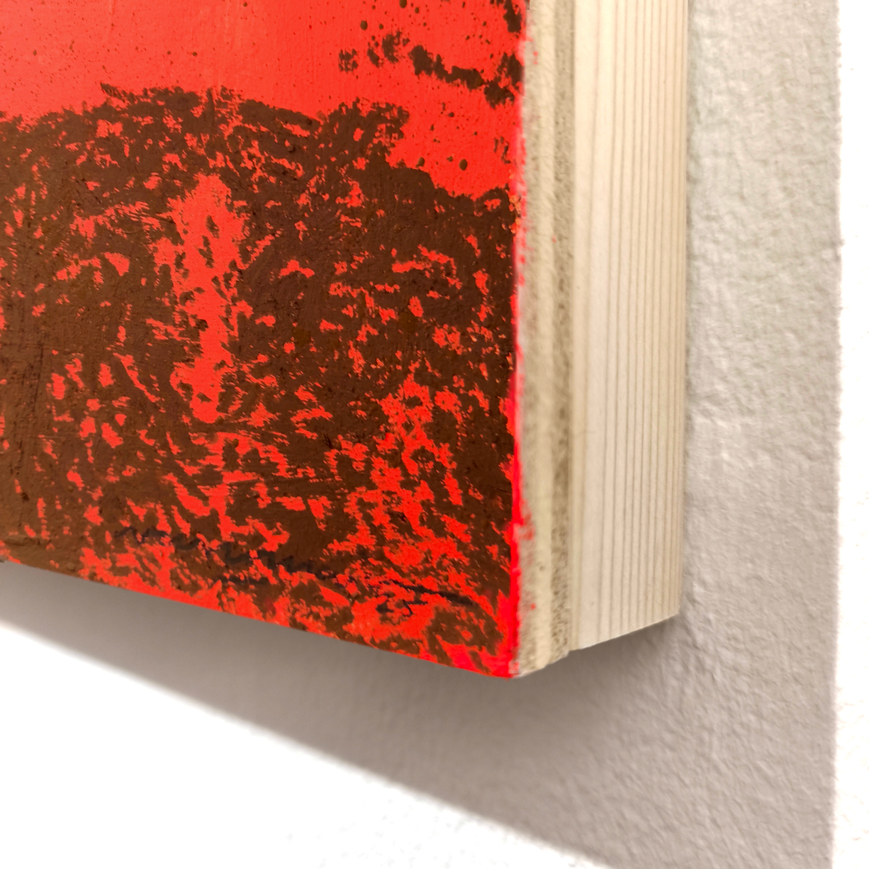 Double Dome - Vasco Maio - Image 7