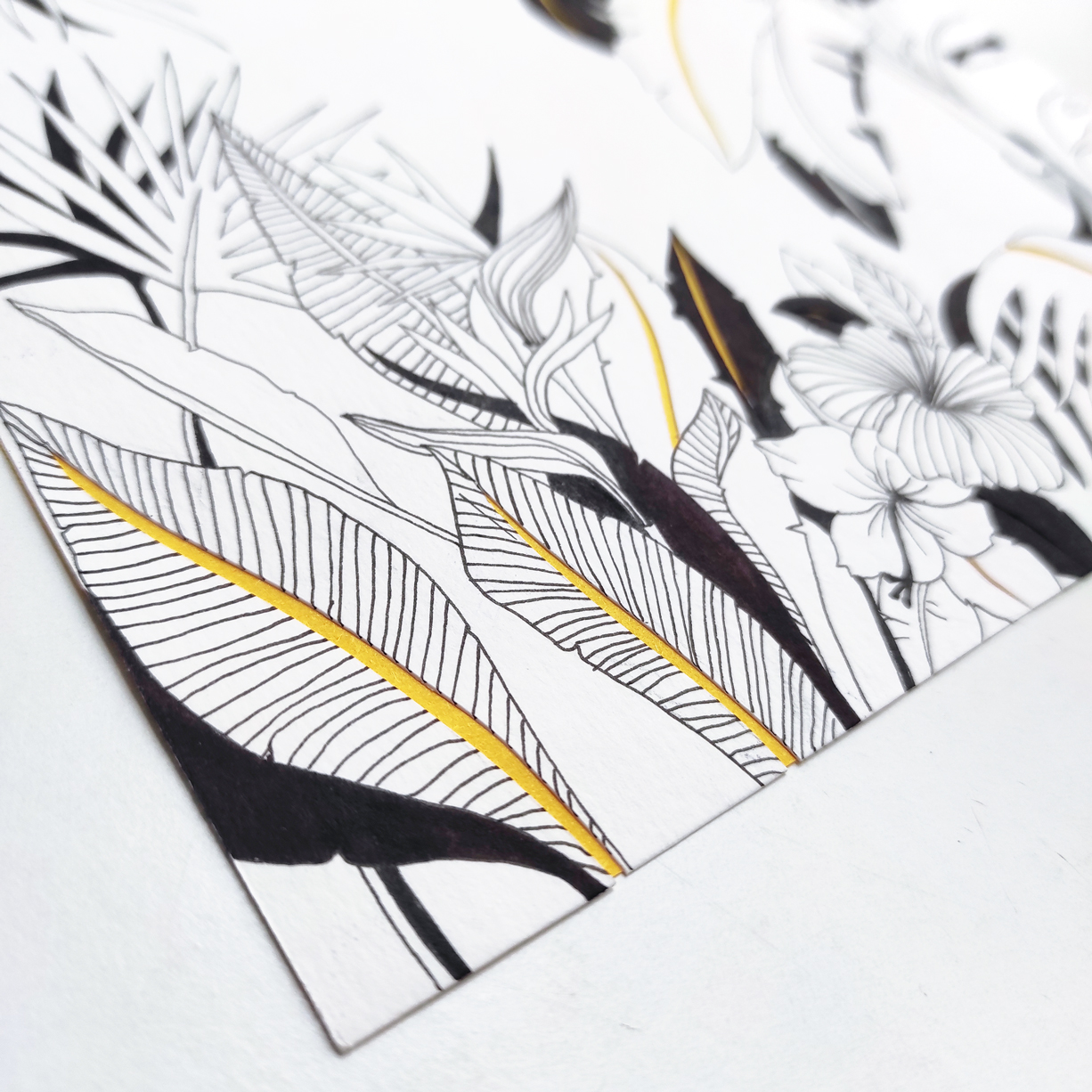 Tropical #1 - Cátia Freitas - Image 3