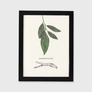 Fora das realidades do presente - Cláudia Salgueiro