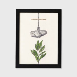 Não passa de um seixo - Cláudia Salgueiro