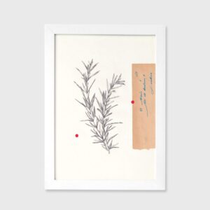 Um envelope, 22 de Maio - Cláudia Salgueiro