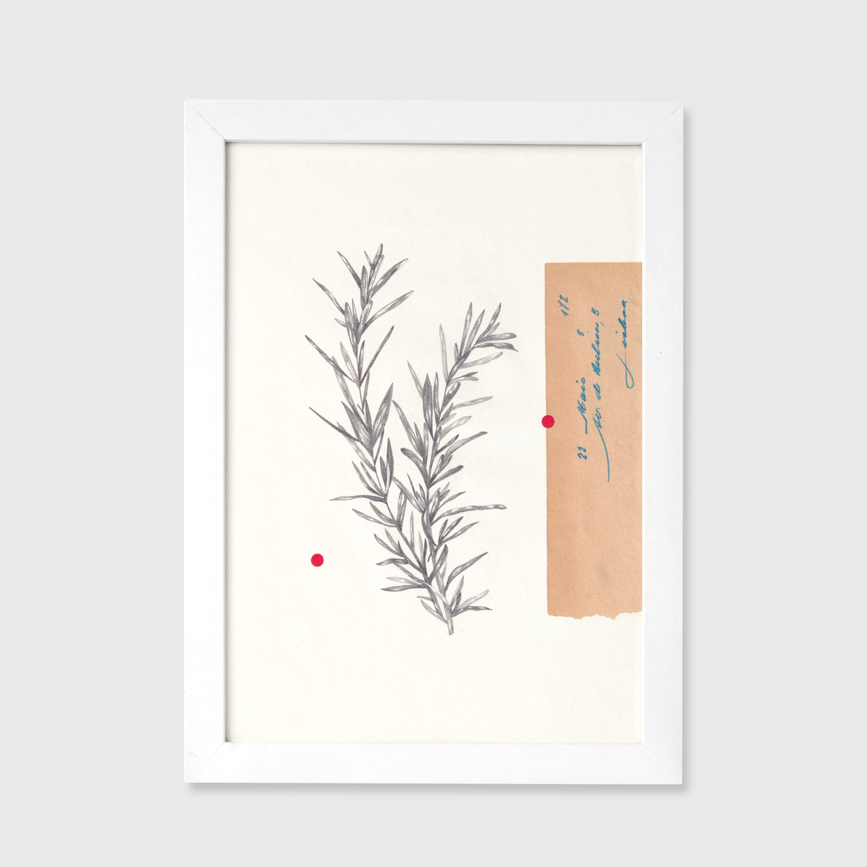 Um envelope, 22 de Maio - Cláudia Salgueiro