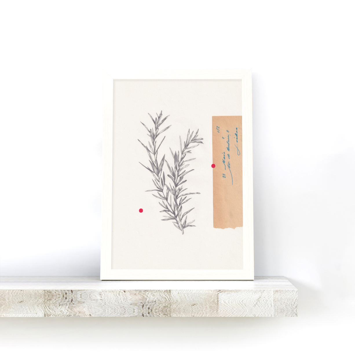 Um envelope, 22 de Maio - Cláudia Salgueiro - Image 2