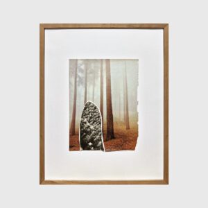 As árvores olham todas para mim  - Hilda Reis