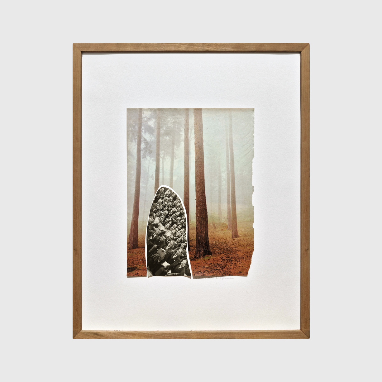 As árvores olham todas para mim - Hilda Reis