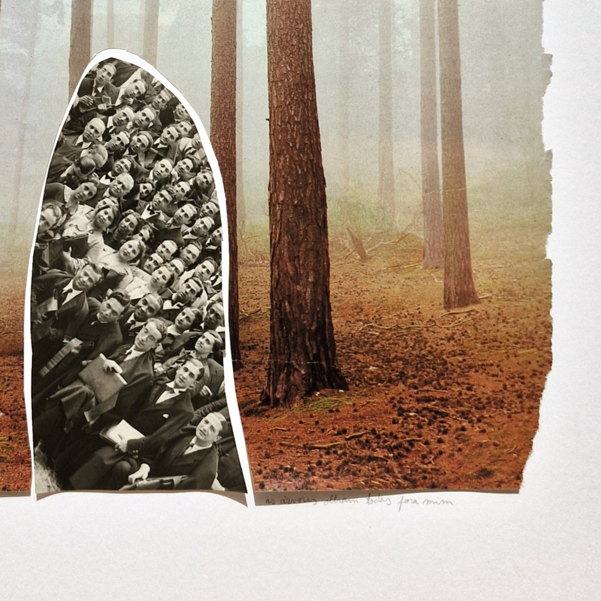 As árvores olham todas para mim - Hilda Reis - Image 2