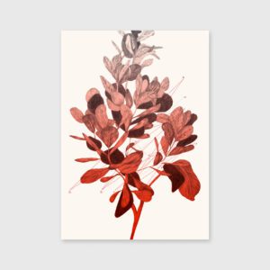 A Geometria de uma Árvore - Cláudia Salgueiro