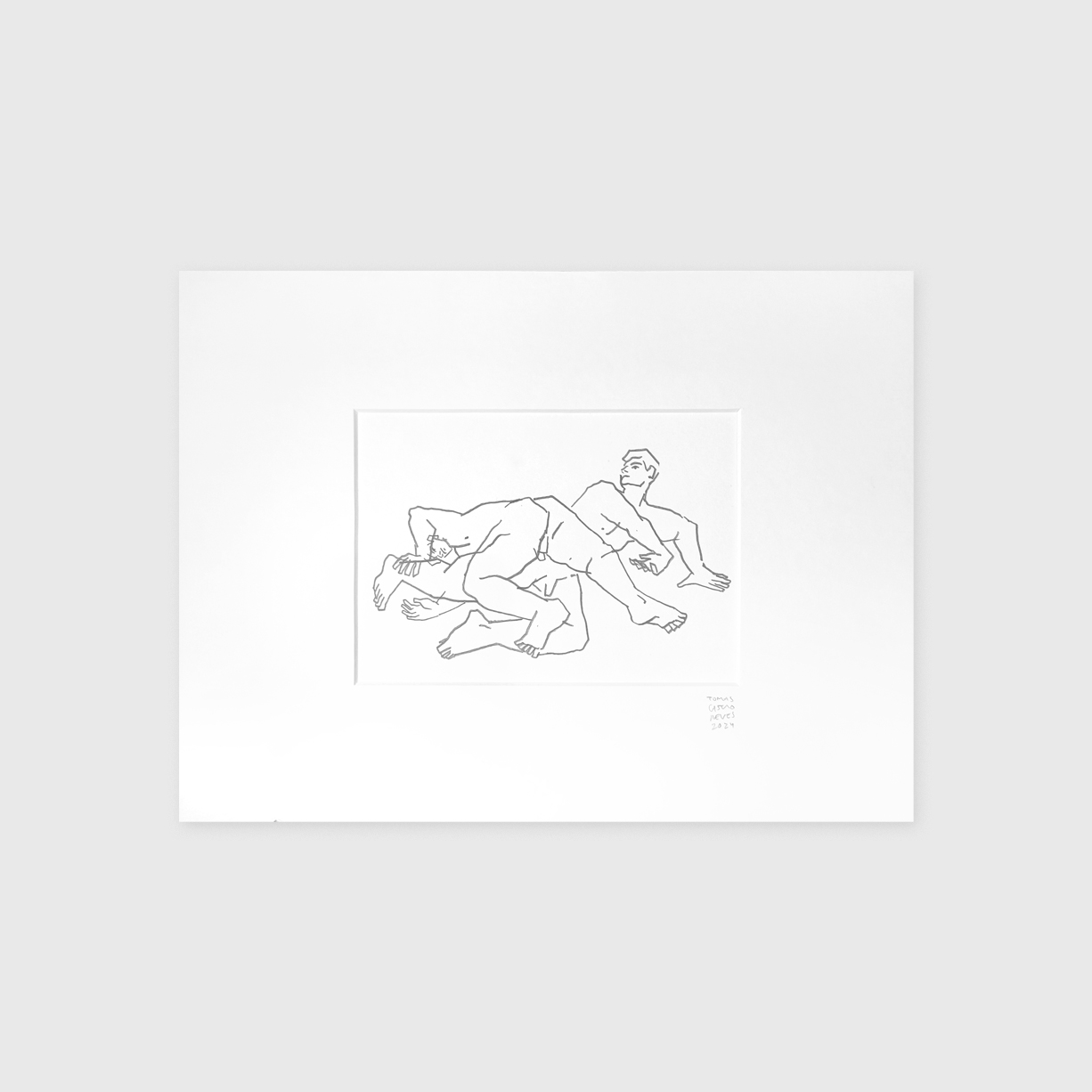 O tecido que nos cobre - Tomás de Castro Neves