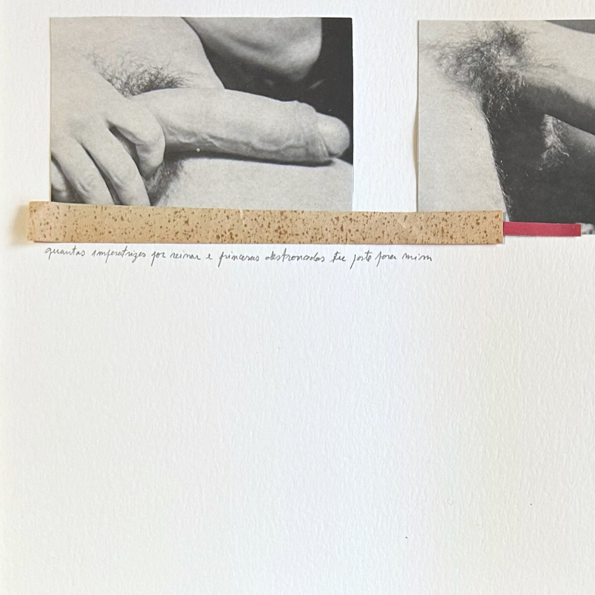 Quantas imperatrizes por reinar e princesas destronadas tu foste para mim - Hilda Reis - Image 2