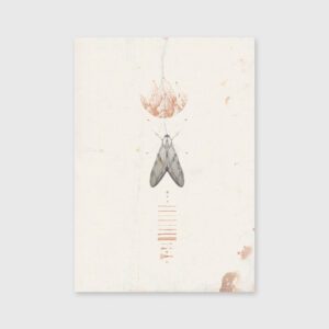 Traçar - Cláudia Salgueiro